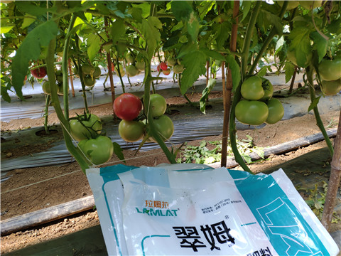水溶肥，