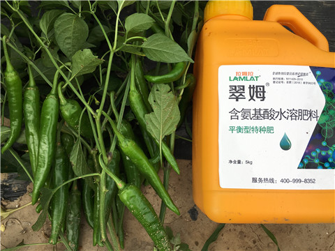 根碧多，微生物菌，葉面肥