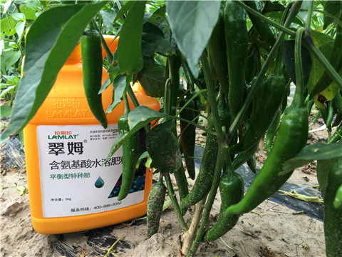 根碧多，微生物菌，葉面肥