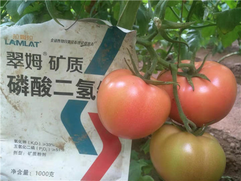 水溶肥，根碧多