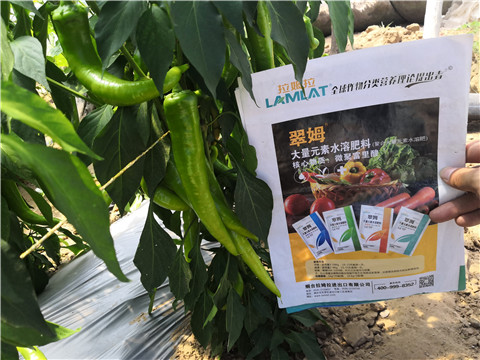 水溶肥，拉姆拉