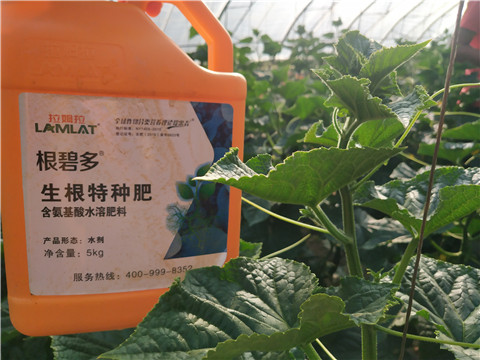 根碧多，磷酸二氫鉀，拉姆拉