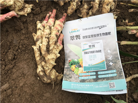 微生物菌劑，翠姆，拉姆拉