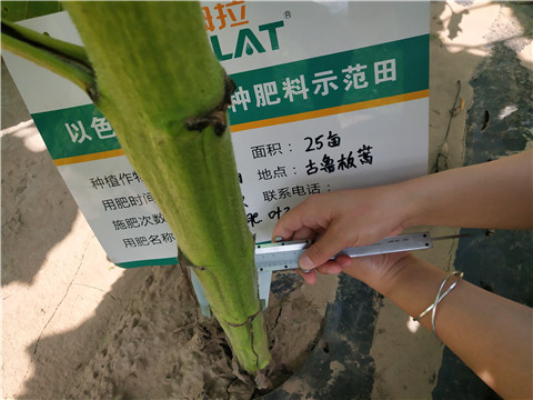 水溶肥，微生物菌劑，拉姆拉