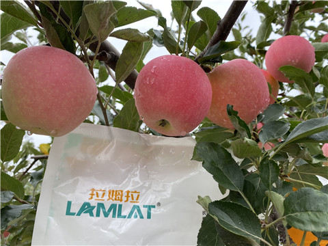 水溶肥，翠姆，拉姆拉