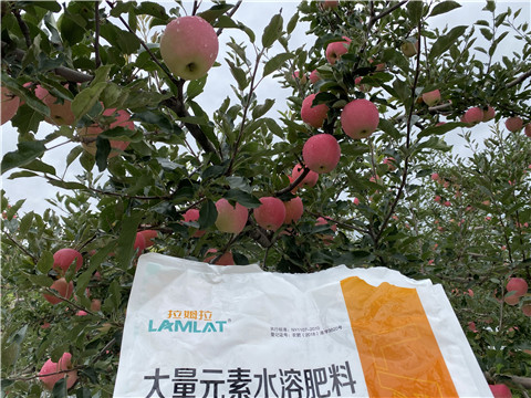 進(jìn)口水溶肥品牌，拉姆拉，翠姆