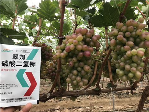 進口水溶肥，拉姆拉