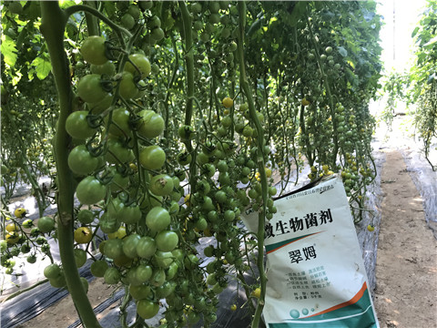 微生物菌劑，磷酸二氫鉀，翠姆，拉姆拉