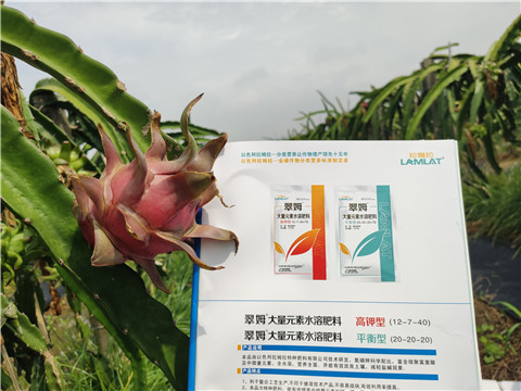 進(jìn)口水溶肥，拉姆拉，翠姆