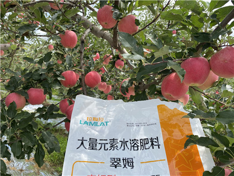 水溶肥，大量元素水溶肥，翠姆，拉姆拉