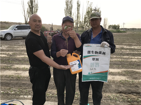水溶肥，拉姆拉，翠姆