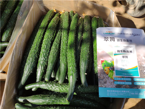 微生物菌劑，拉姆拉，翠姆
