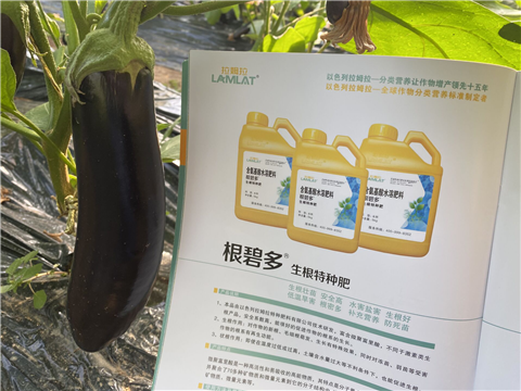 水溶肥，拉姆拉，翠姆